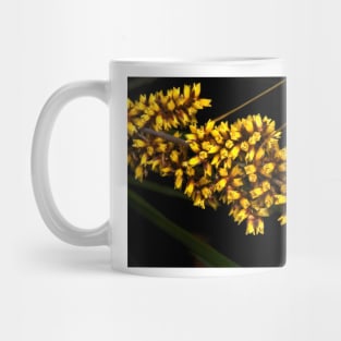 Spiny Headed Mat Rush Mug